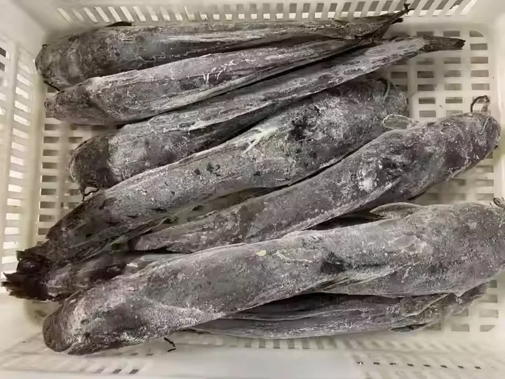 HGT frozen catfish WR  China Supply Frozen Catfish
