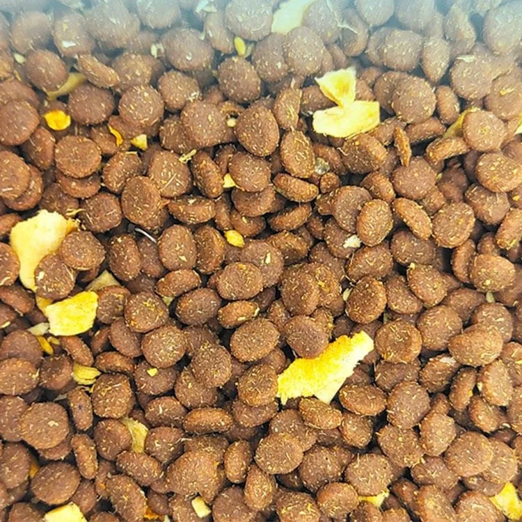 Лидер продаж оптовая продажа OEM ODM производство домашних животных сухой корм для кошек