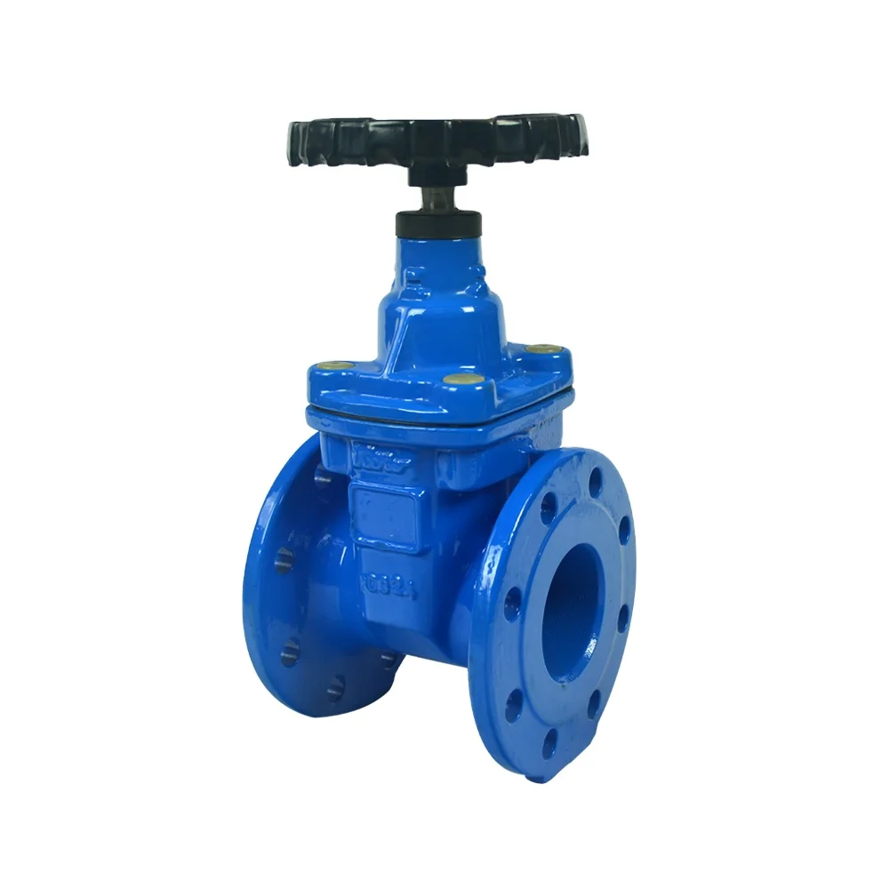 Factory direct gate valve PN10/16 dn80 dn100 non-rising stem resilient soft seal flange ductile iron gate valve price