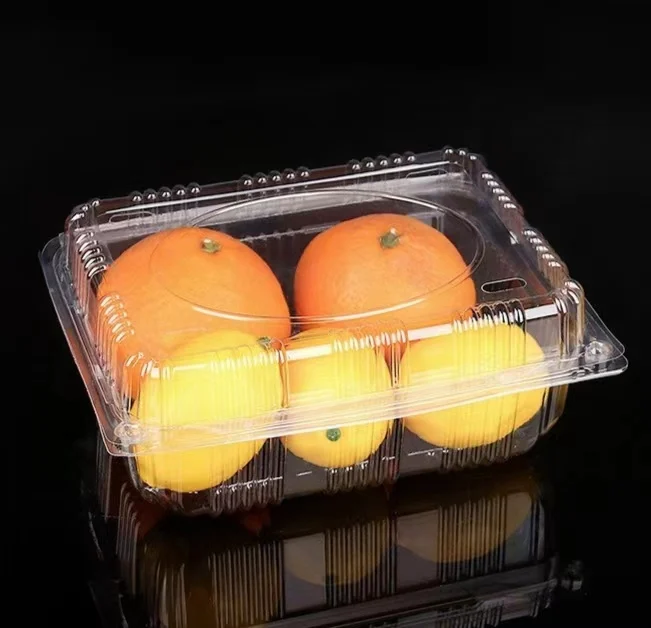 Вакуумный контейнер для пищевых продуктов