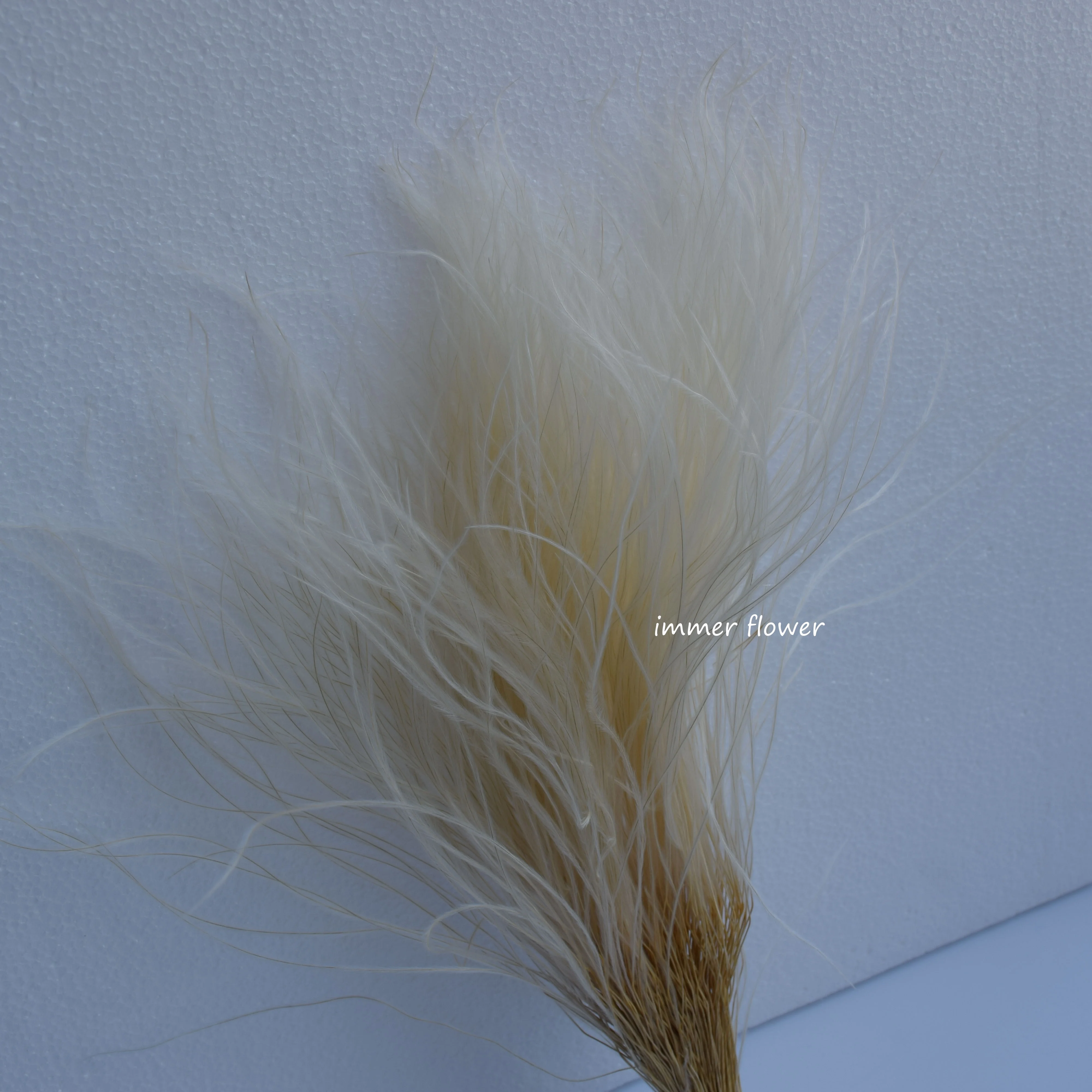 Beautiful Feather Grass Stifa Flower from China