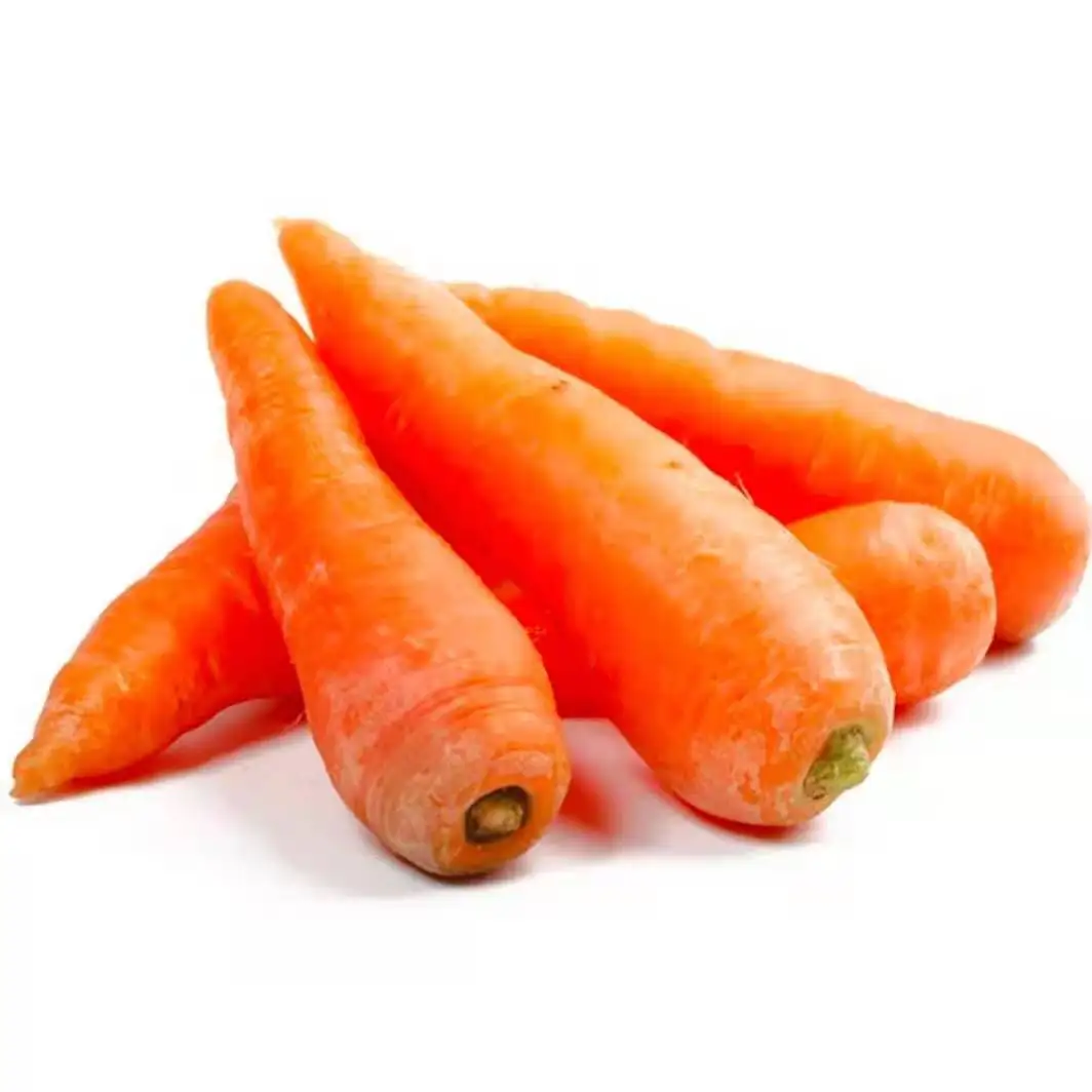 
Exclusive sales 100% natural top quality refreshing and delicious fresh organic carrot 