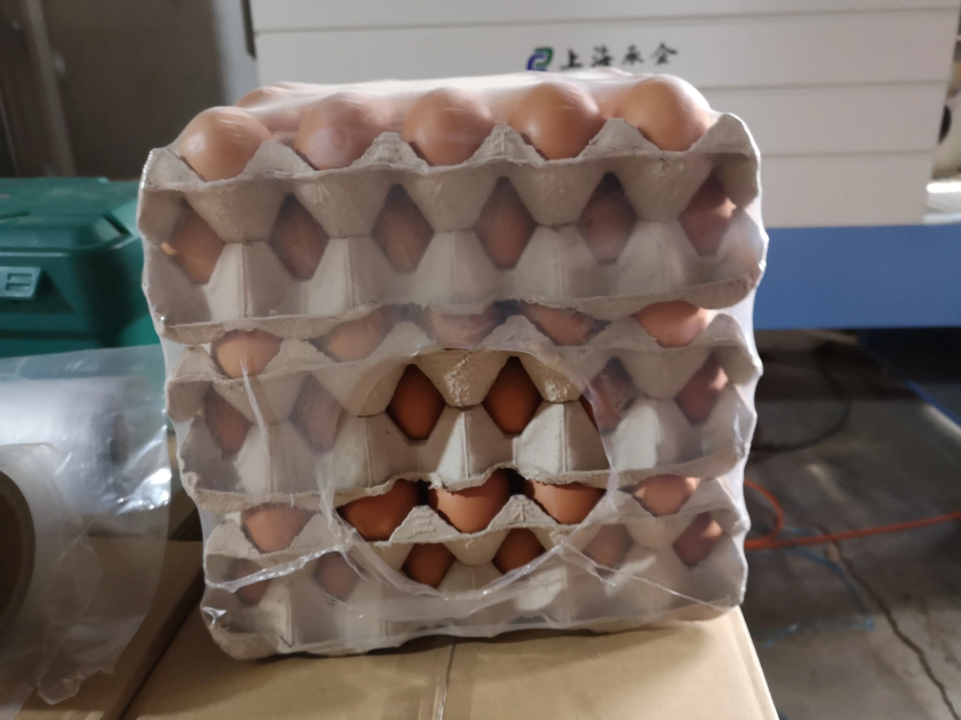 ChengQi Box conveyor belt pop album thermal shrink wrapping machine plastic sleeve shrink wrap machine