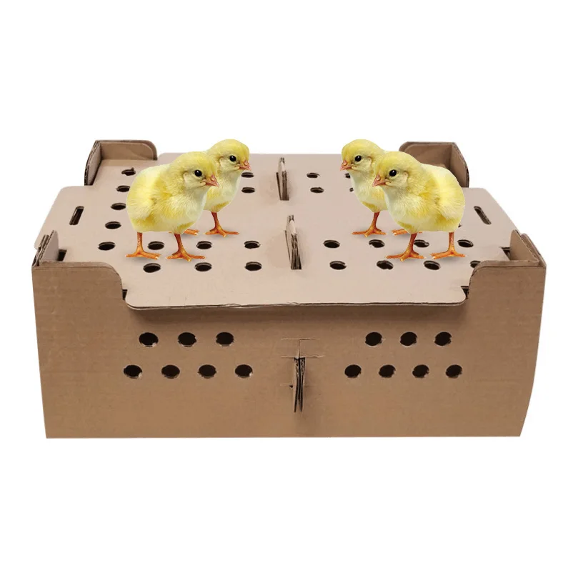 Transport poultry cardboard boxes chicken chick carton cardboard boxes for transport of chicks paper chick transport box