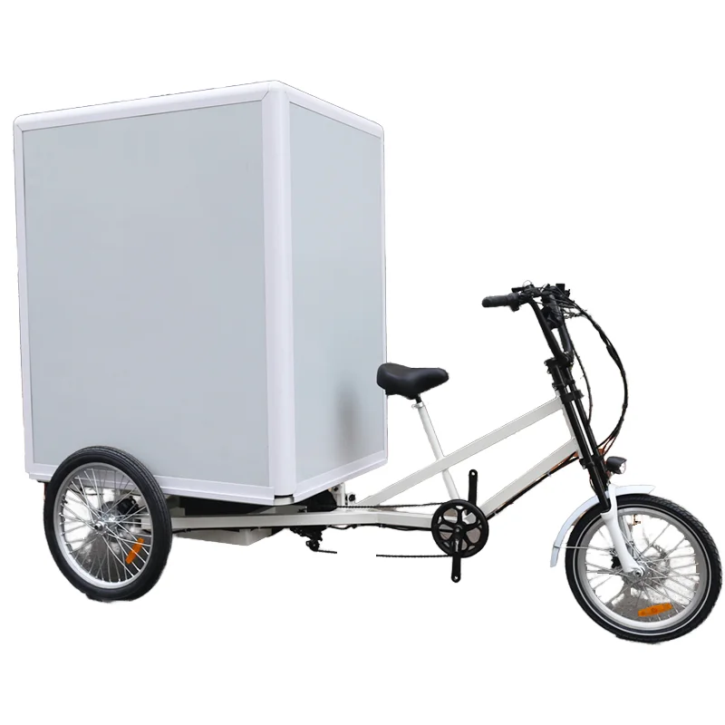 Hot Sale New Mini Cargo Van Three-Wheeled Electric Bike 48v Closed Body EEC Certified Tricycle for Passenger Use Rear Cargo Box