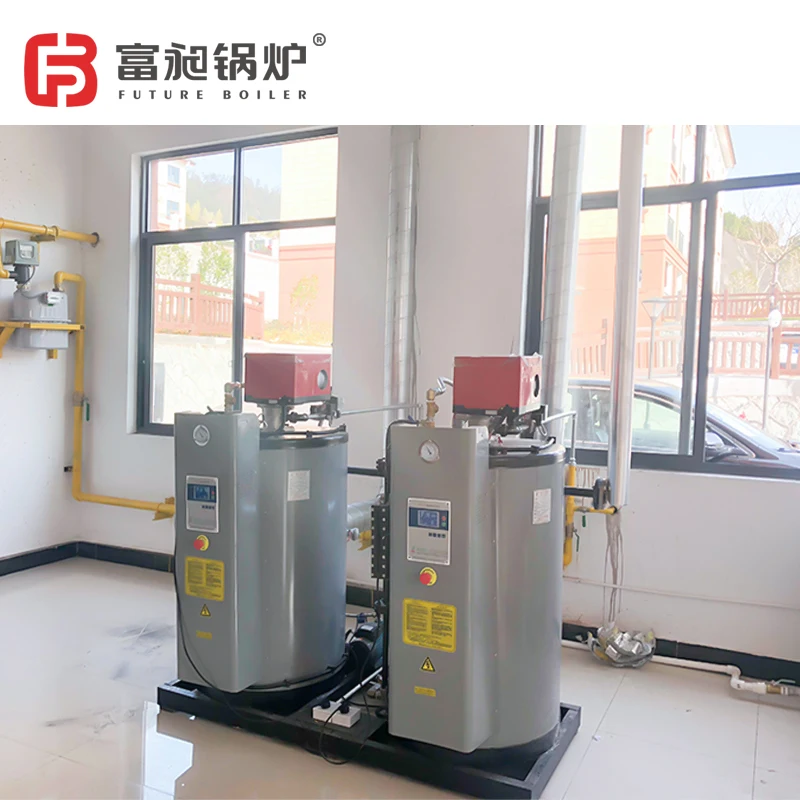 Small Vertical Diesel Oil LPG Natural Gas Fired Steam Boiler coal power plant light oil burner