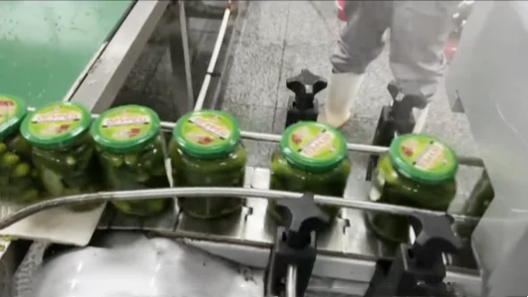Factory Supply Delicious Pickled Cucumber in Canned Gherkins Pickles Canned Vegetable Delicious Fresh Canned Food