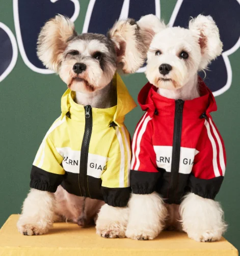 wholesale 2022 Pet Clothing winter designers dog clothes two leg dog hoodie jumper waterproof dog raincoat jacket