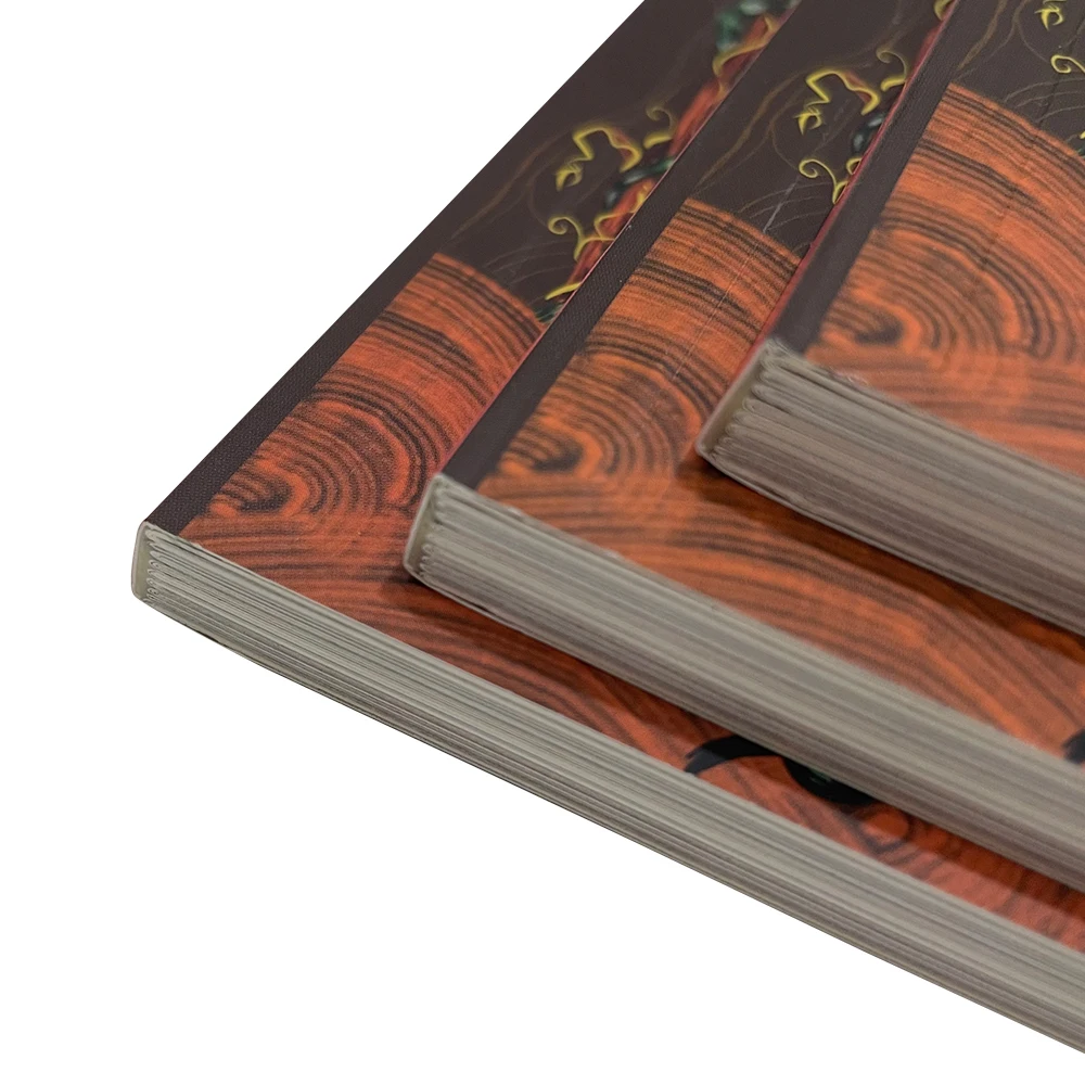 Top High Quality Wholesale Custom Printed Full Color Book Children Kids Novel Comic Book Printing Service