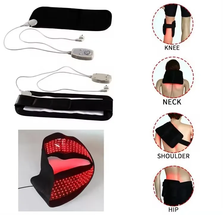 Australian Brumby Horse Dressage Horse Body Therapy Led Lamp