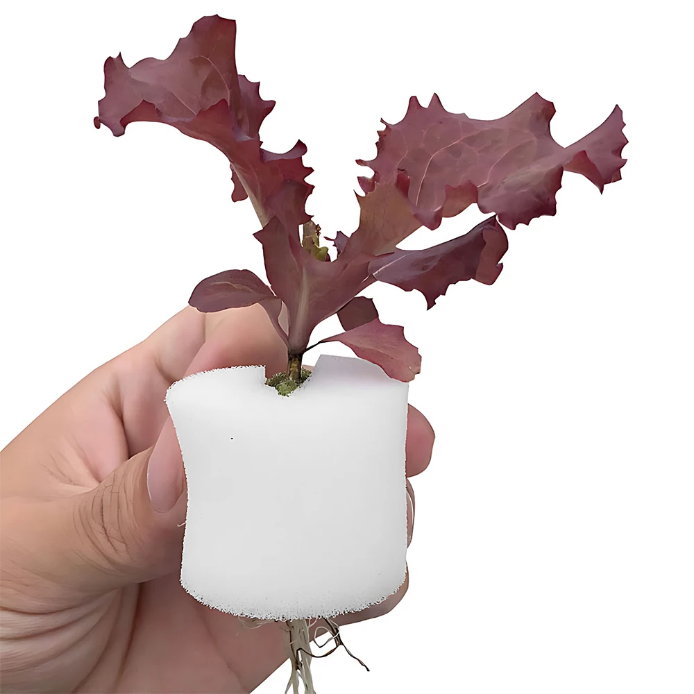 Best Price Vegetable 32X30MM Round Hydroponics Seed Sponge For Sale