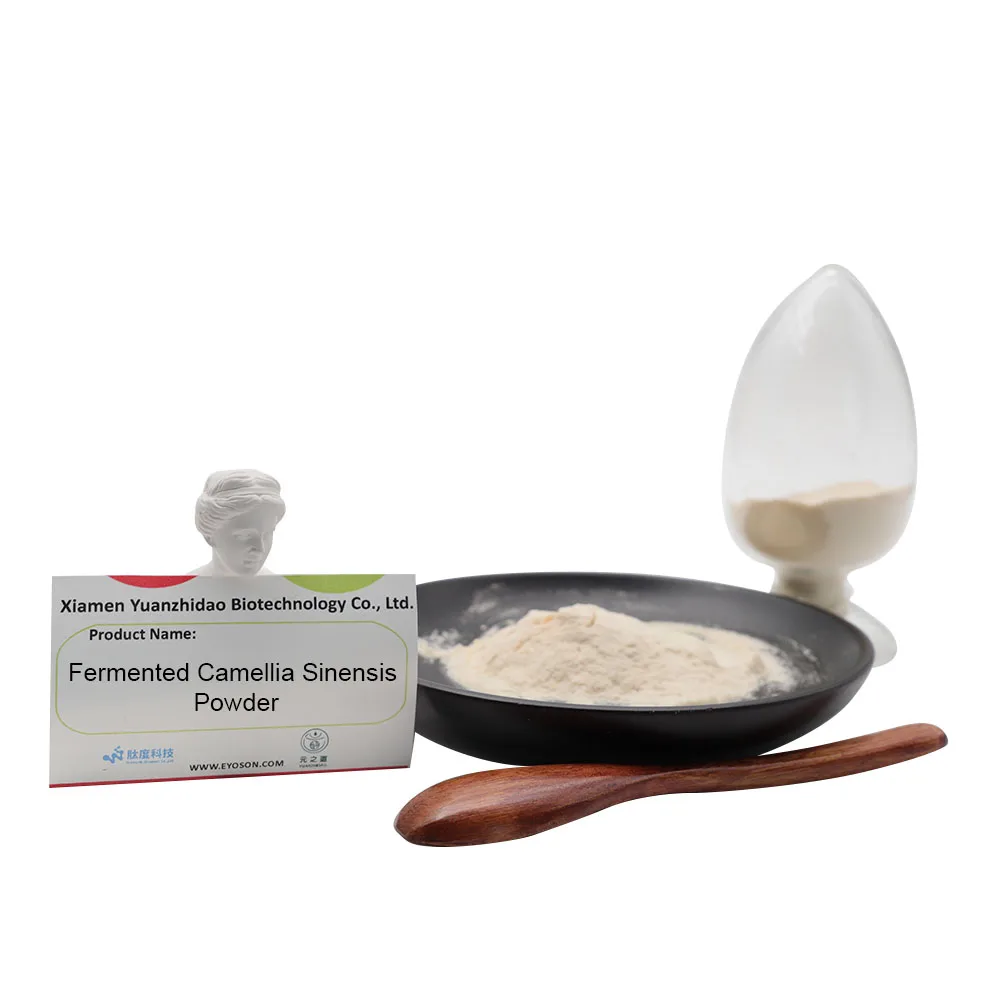 Wholesale  Fermented Camellia Nitidissima Powder Improves Immune System Function Maintain A Good Metabolism
