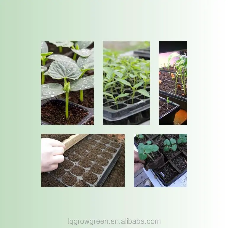 Deep cells high quality nursery tray tree planting