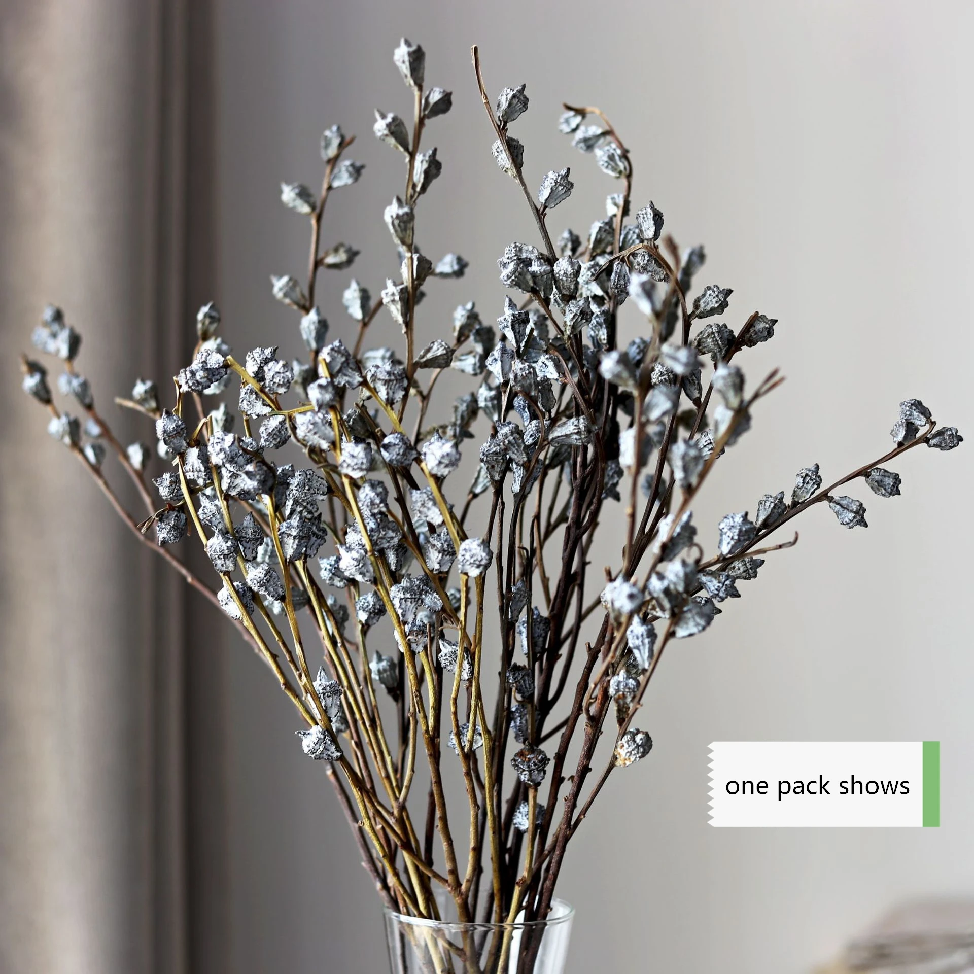 Dried natural Eucalyptus branch fruit globules, fragrance flower for floral arrangement