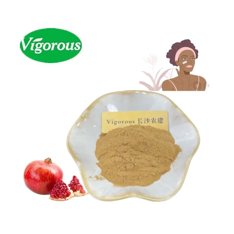 Good  Quality Hot Sale  Free Sample Popular Punica granatum  Pomegranate Extract