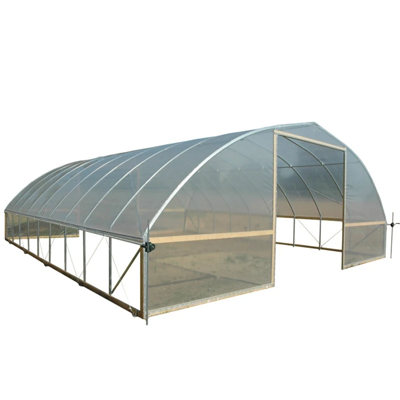 High Strength Commercial Agricultural Poly Tunnel Single-Span Green House Tomato Greenhouse For Sale