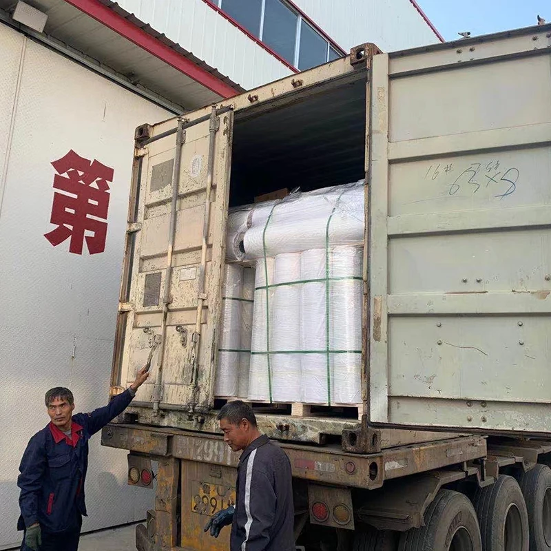 
Wholesale SBS/APP Waterproof Membrane Outdoor Flooring Roll 