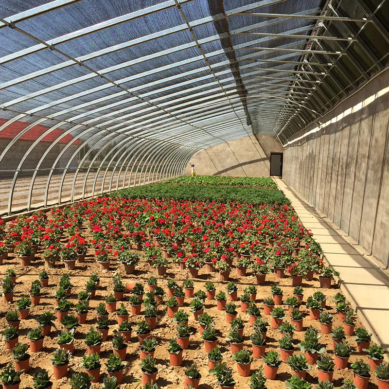  Solar greenhouse for agriculture