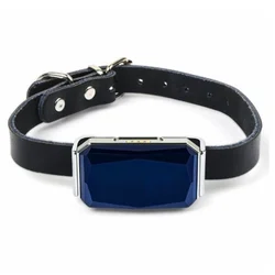 China Big Factory Good Price Locator Smallest Gps Pet Tracker