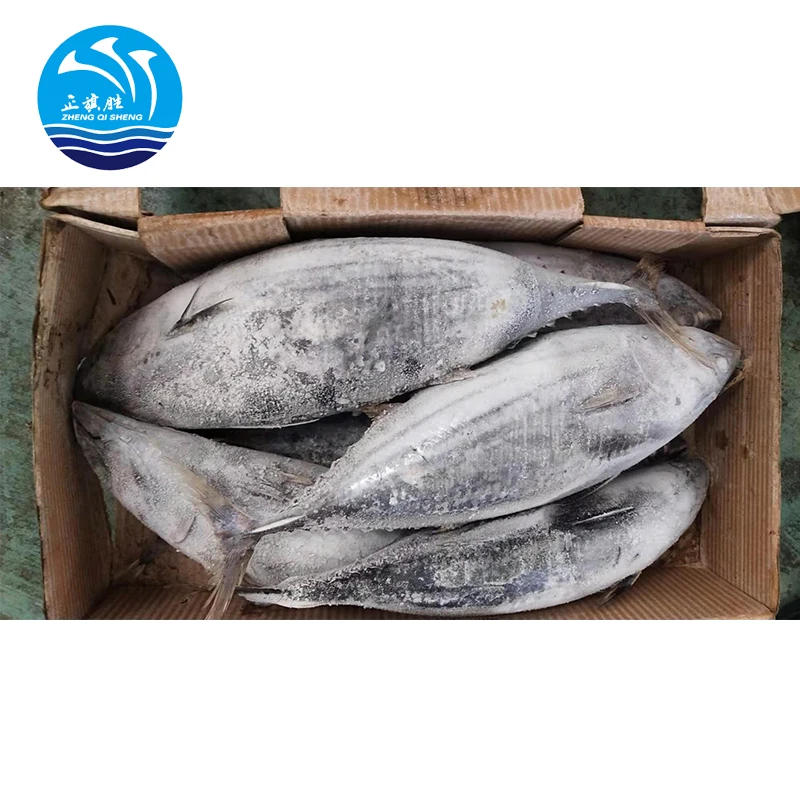 
 Высокие коммерческие морепродукты замороженный мельница тунец производитель  