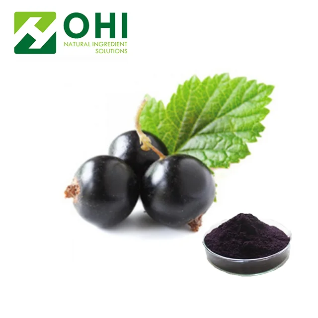 Nutritional Supplement Black Currant Extract Supplier anthocyanidins Yellow Mesh custom made Packaging Ribes nigrum L.