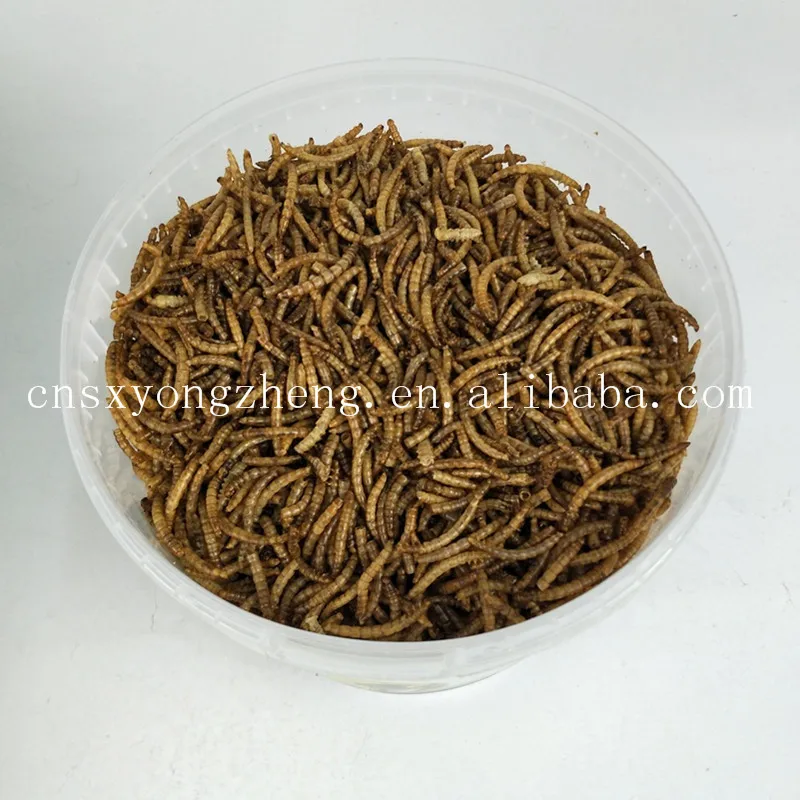 factory price top quality animal feed dried earthworm for fish feed