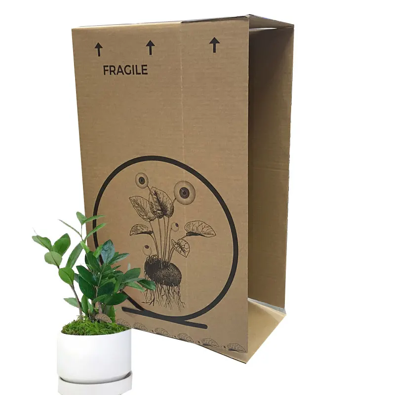 Wholesale Custom Made Tuck up Corrugated Farm Potted Flower Mint Small Pots Plant Packaging Shipping Box
