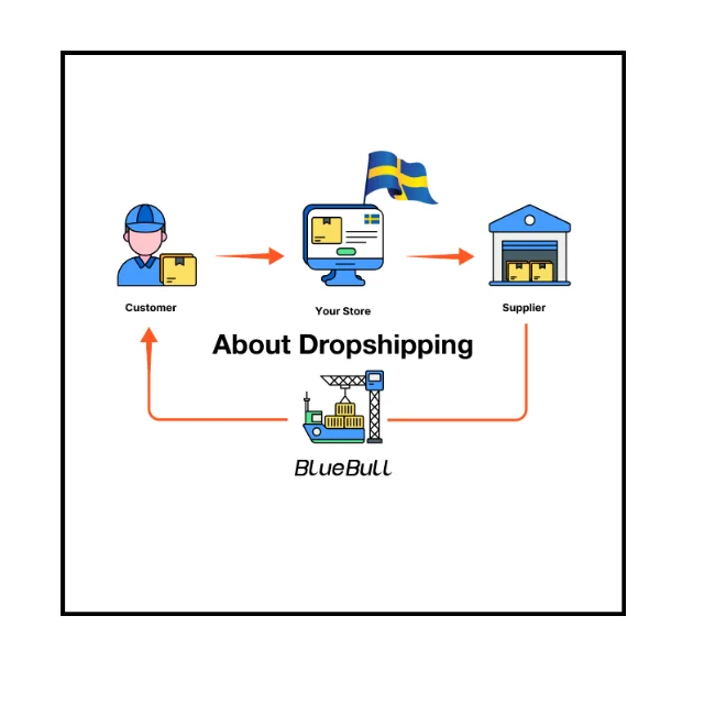 China Top 5 Shipping Company Door to Door Delivery Dropship Sweden