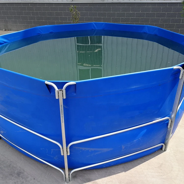 Summer children can swim in the swimming pool  fish pool swimming circle cool