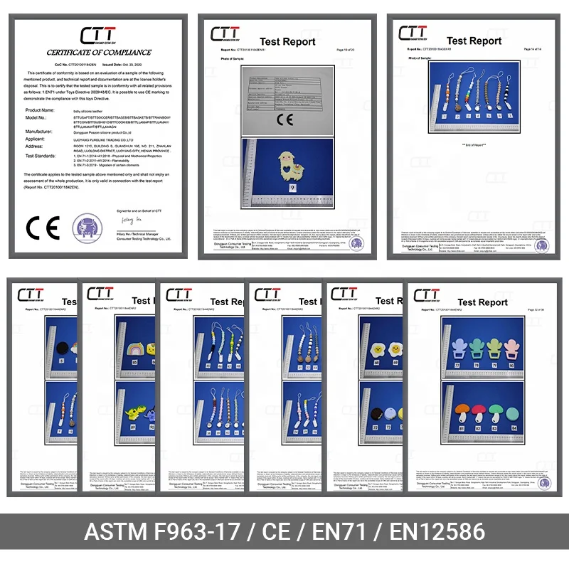 Food Grade Silicone Material Fun Sensory Motor Aids Risk Free Trial Cactus Flower Teether with pacifier clip