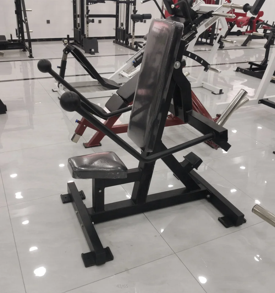 Gym Plate Loaded Strength Machine Arms Exercise Equipment Seated dips gym station Triceps Kickback dip
