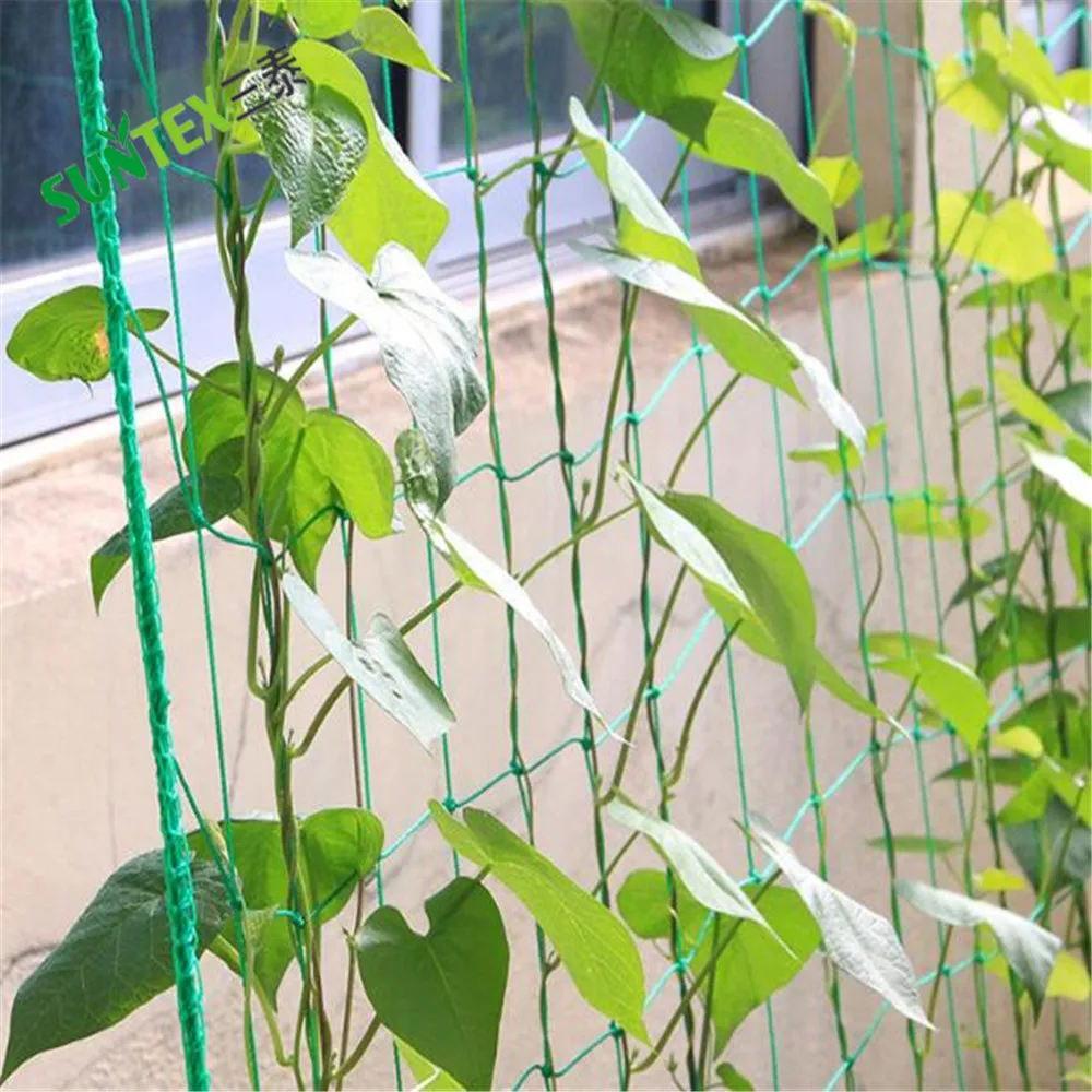 high tensile strength PE 10*10 cm tomato support mesh,beans cucumber climbing trellis net plant support netting