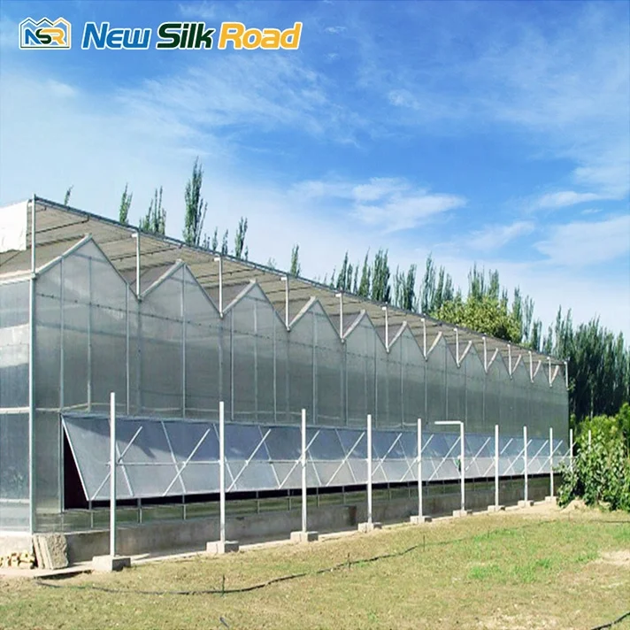 NSR Greenhouse Low-cost Agricultural Multi-span Polycarbonate Greenhouse For Sale