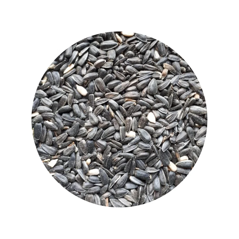 
 Сельскохозяйственные ядра семян подсолнечника 500MT  