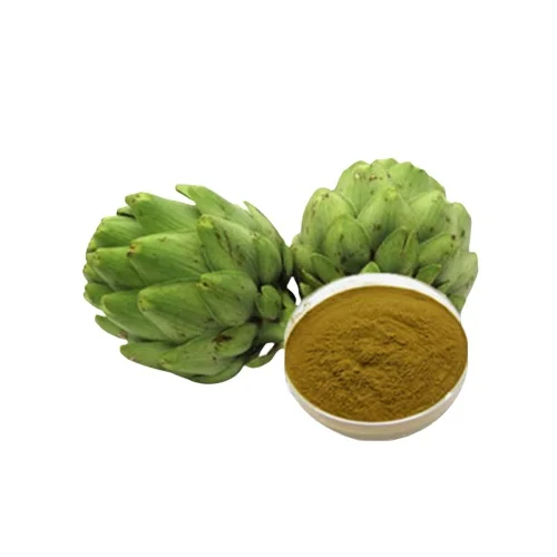 Лучшая цена экстракт Cynara scolymus натуральный листьев артишока порошок 5% Cynarin