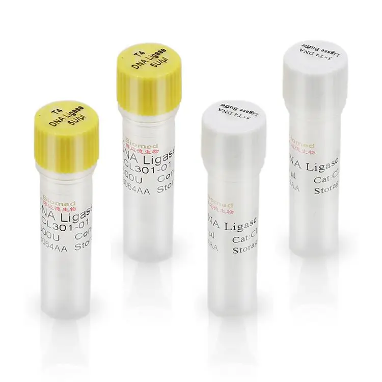 Оптовая продажа, высокоэффективный Быстрый реагент T4 DNA Ligase