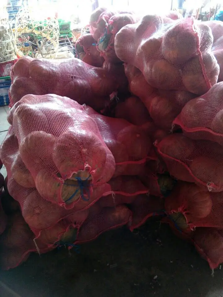 [HOT-SALE]- Fresh Red Pumpkin Natural Organic/ FROM Vietnam/ THE PRICE BEST