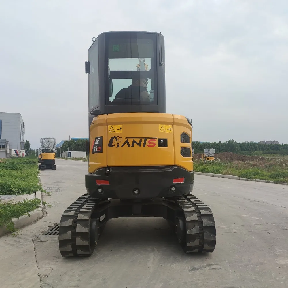 Customized Mini Excavator Remote Control Wireless Control Multi Functional Mini Excavator Small Digger