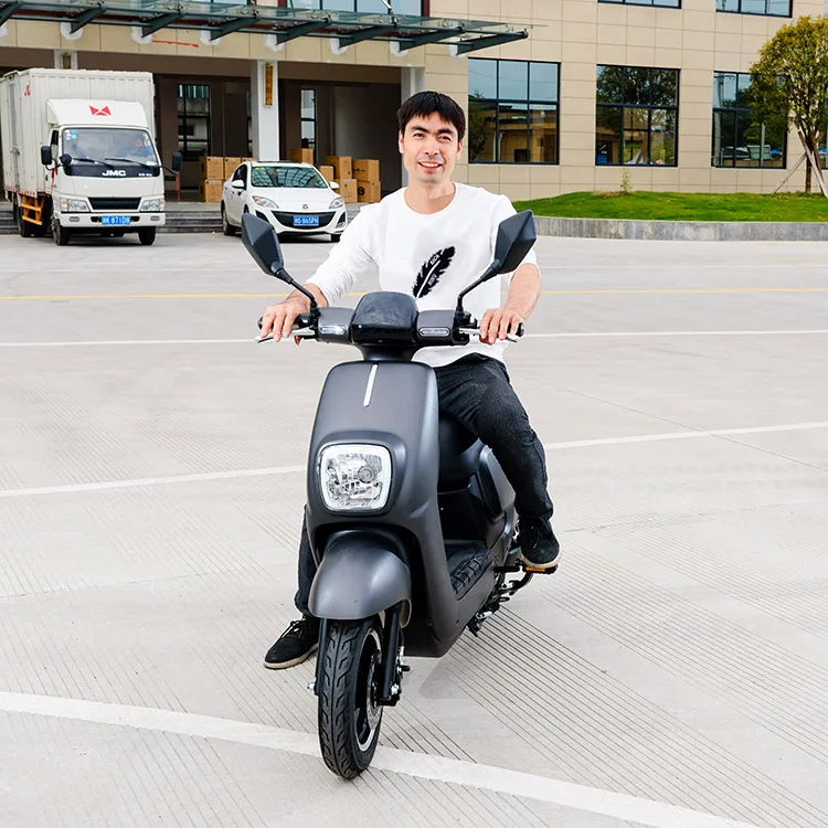 Indian Market Disc Brake 2 Wheel Citycoco Personal Transporter Cheap Price 1000w Electric Scooter