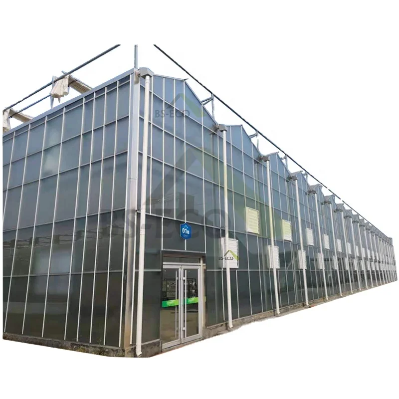 Venlo Multi-span Glass Greenhouse for Commercial with Indoor Hydroponic NFT Systems