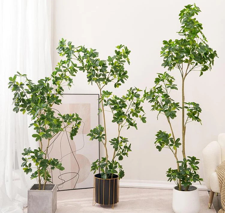 Evergreen Plant Duck Foot Wood Fake Plant Pot Large Indoor Living Room Decoration Landing Landscaping Pieces Tree -149