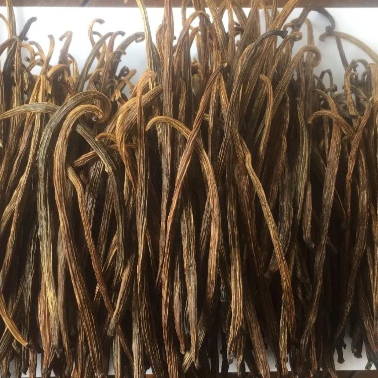 
RENDAH GRADE 3 12 13 CM PLANIFOLIA VANILLA BEANS for EXTRACTION Hot Selling Indonesian Best Quality Bourbon with Best Price 