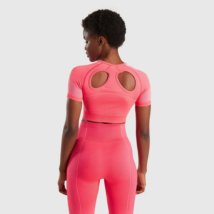 Shorts and Sports Bra Sport suit woman Spandex 2 Piece Seamless Yoga Wear Set