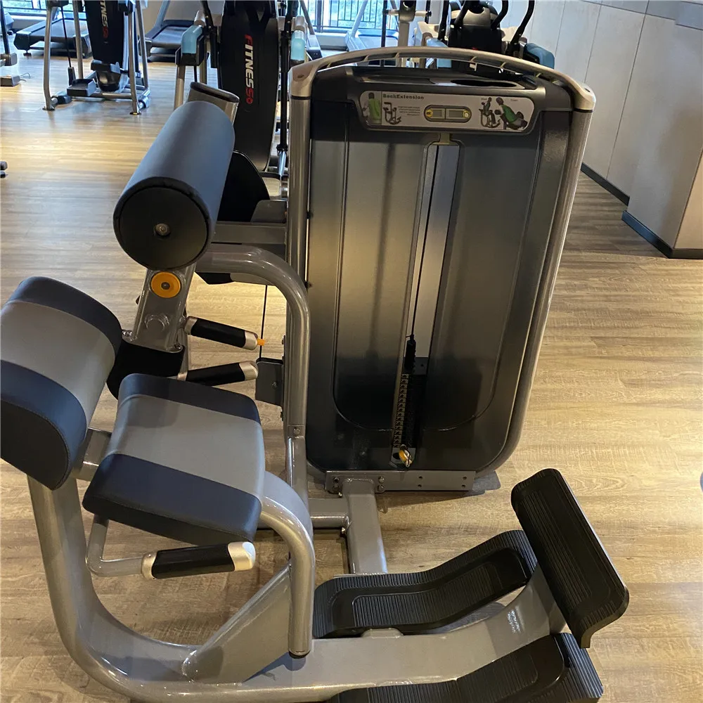 commercial fitness sports matrix back extension gym machine