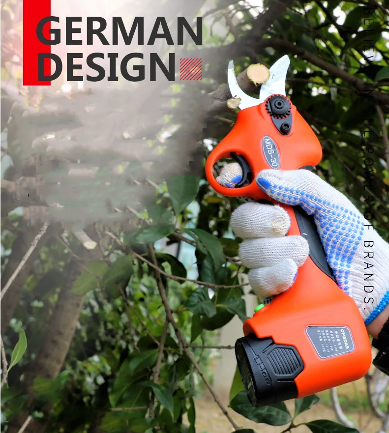 Cordless Garden Fruit Tree Pruning