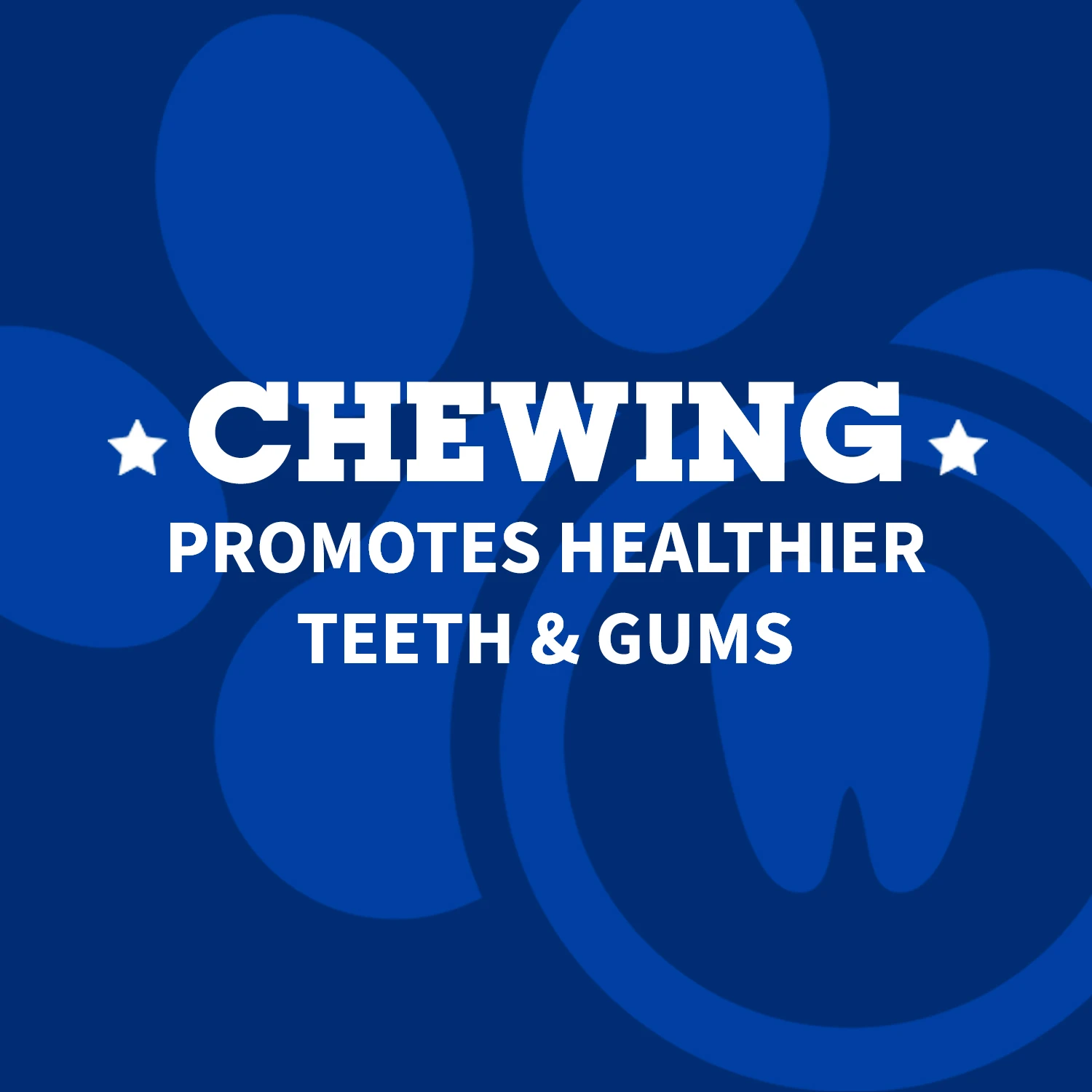 Cargill World Leading Supplier 6 Inch Beef Steer Stick Pizzle  - Dog Treat Volume Discount Pricing Pet Treat