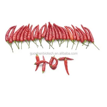 Premium Quality Standard Fresh Red Chili Spices 100% Pure Fresh Hot Chili Pepper At Low Price