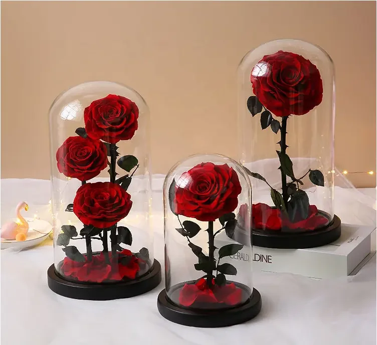 bella y bestia bella y la bestia flor de la bella y la bestia Enchanted Rose Beauty And The Beast Preserved Rose In Glass