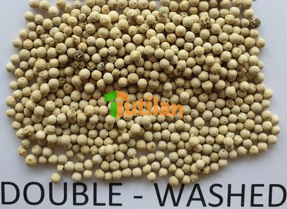 Лидер продаж с завода семена натурального белого перца высокого качества по лучшей цене