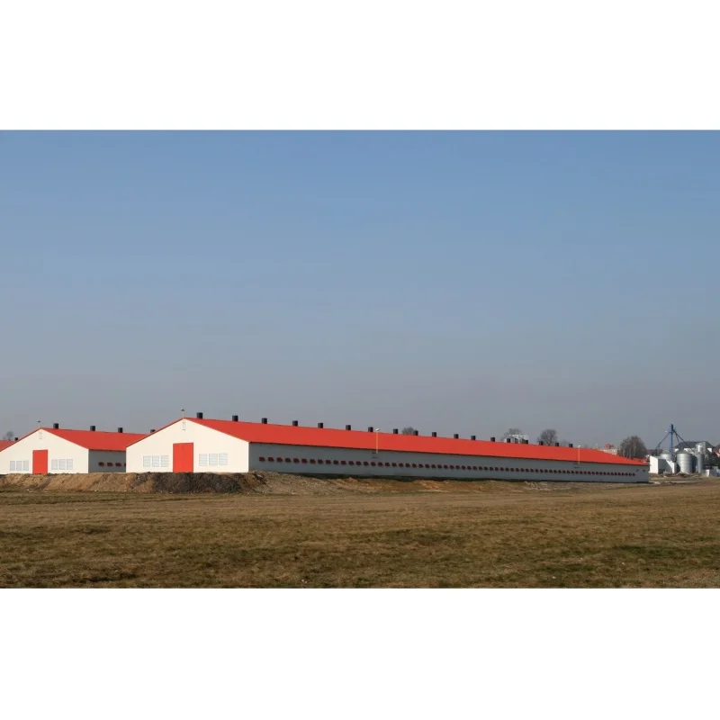 Современная птицеферма куриная ферма легкая стальная конструкция Автоматическая птицефабрика